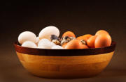 Eggs in a Bowl Food Photography