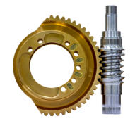 Brass and Steel Wormgear